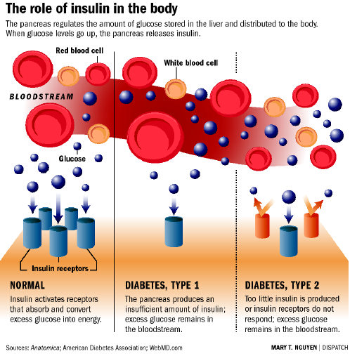 Инсулин крови 11, 4. The amount of glucose in the Blood. Проджект глют. Инсулин какая группа. Associated types